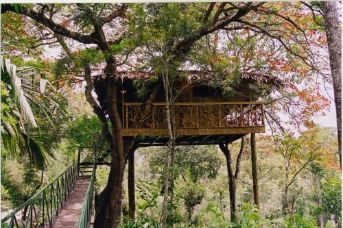 Tranquil BluSalzz Collection Wayanad, Kerala