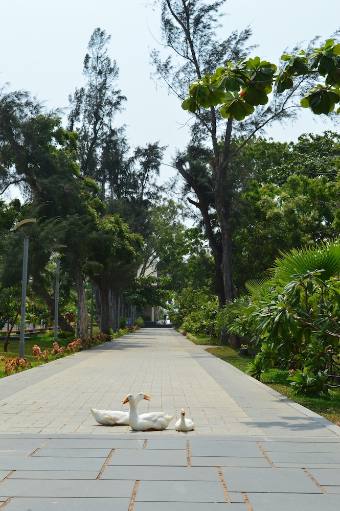 Welcomhotel by ITC Hotels, Kences Palm Beach, Mamallapuram