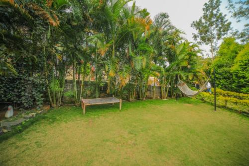 Wow Bison Woods (Organic Resort)