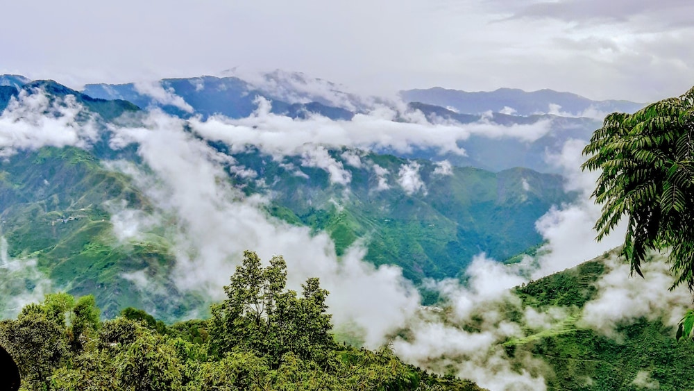 The Mountain Quail Hotel & Resort