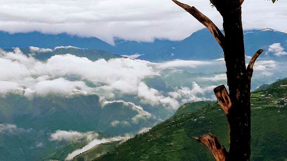 The Mountain Quail Hotel & Resort