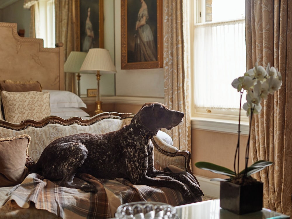 The Egerton House Hotel