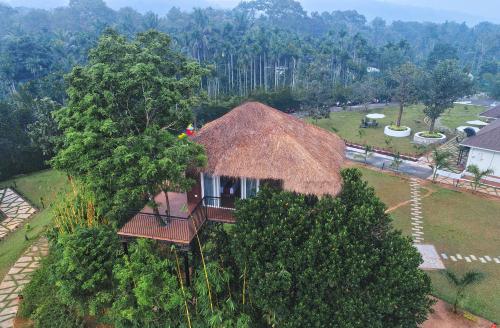 Jungle Bay Resort and Spa