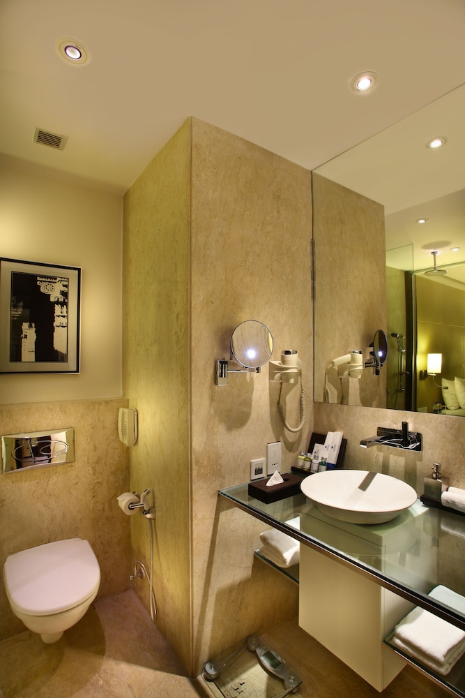 Park Plaza Shahdara