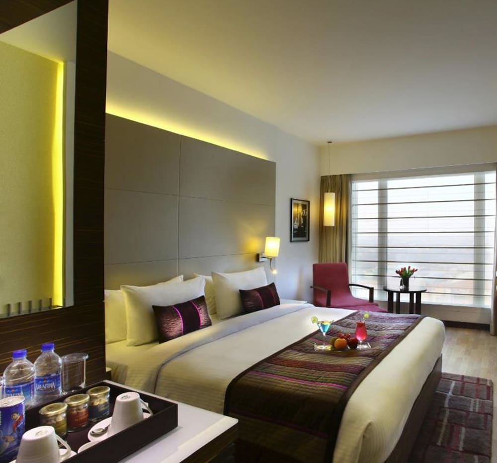 Park Plaza Shahdara