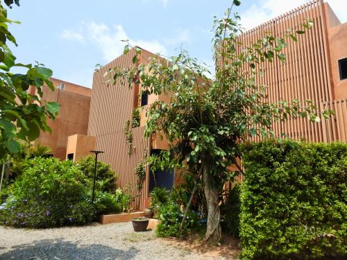 Bougain Villas