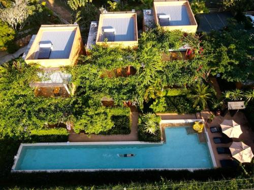 Bougain Villas