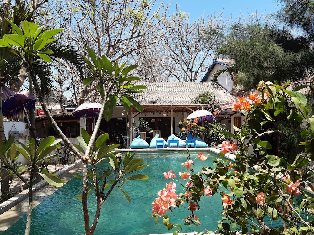 Dream Hotel