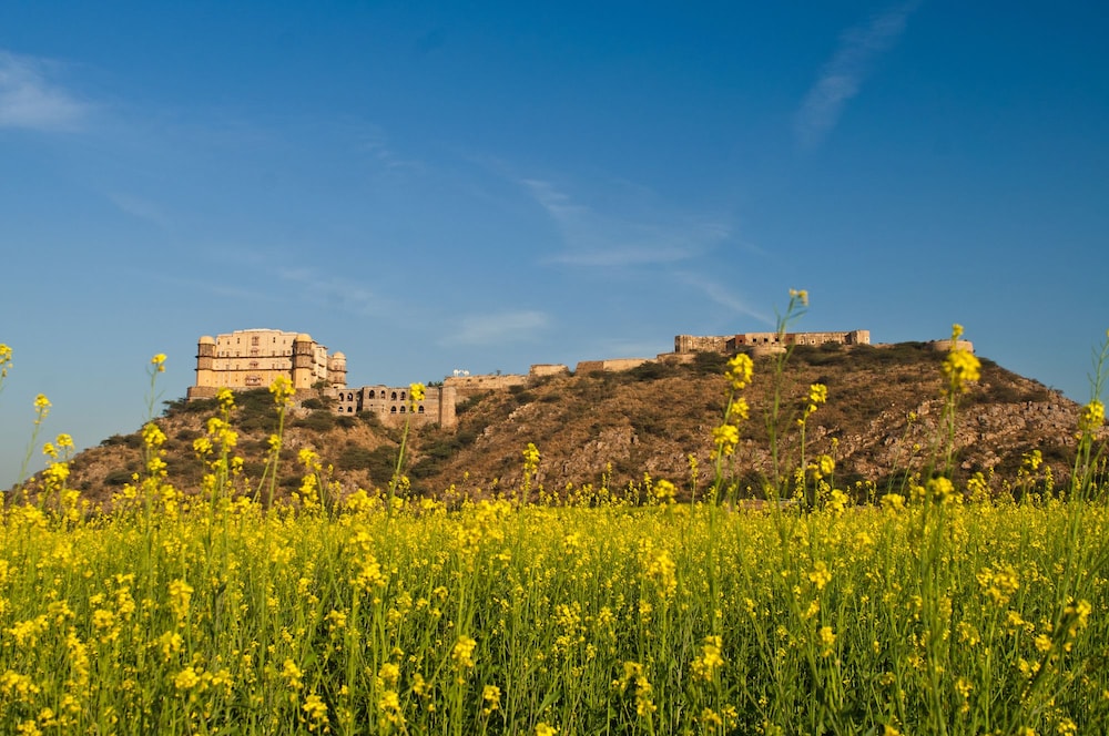 Neemrana Tijara Fort Palace