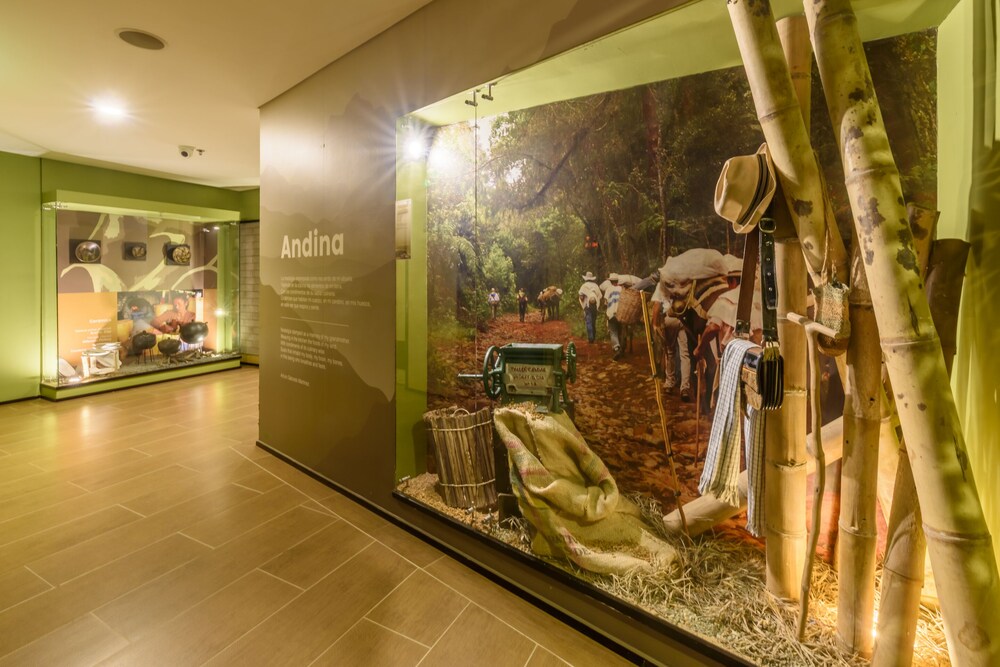Diez Hotel Categoria Colombia