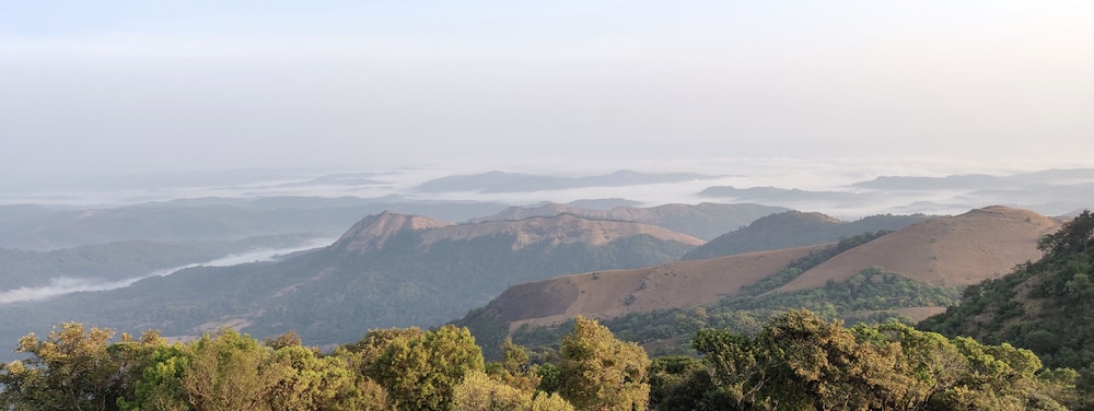 Paradise Wild Hills Kodachadri