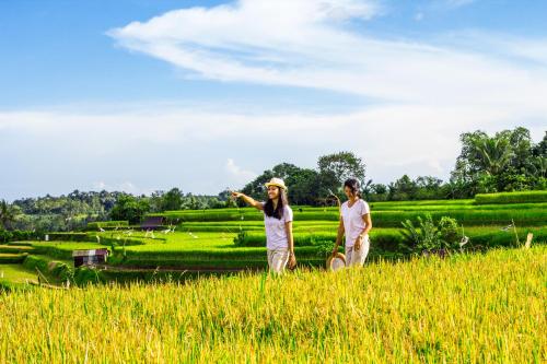 Kebun Kita Ecolodge