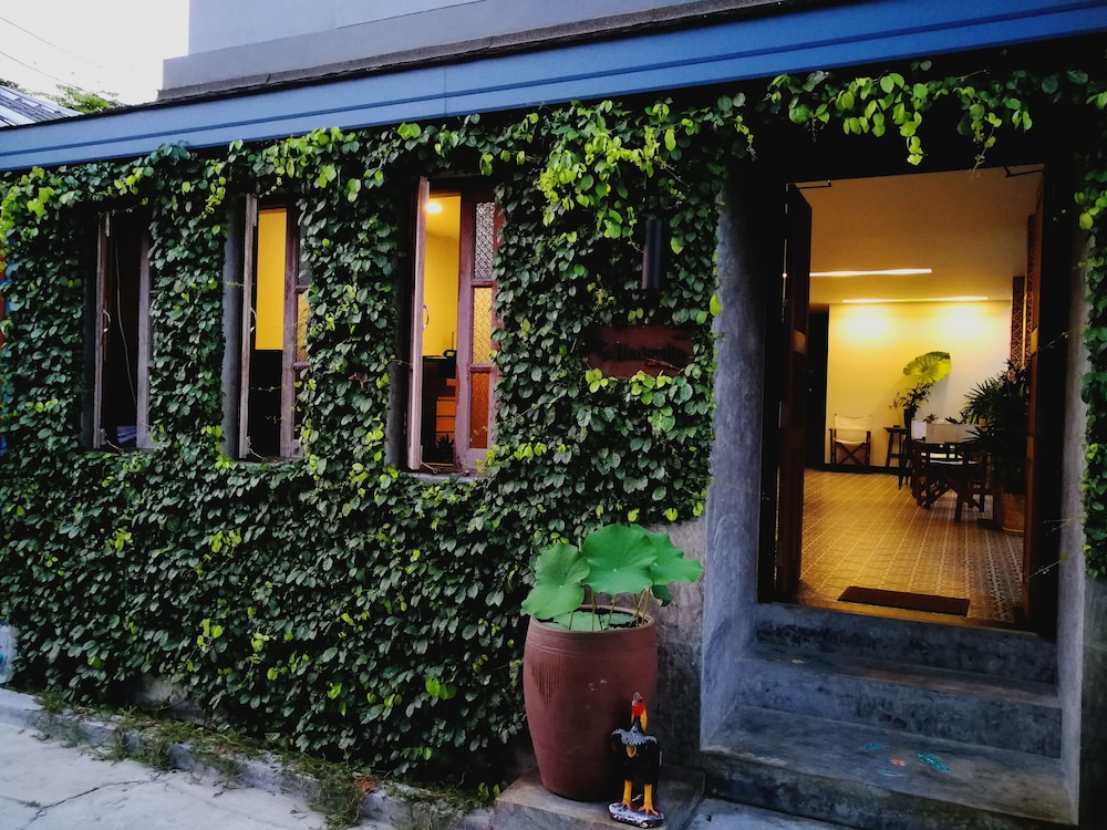 The Umbrella House