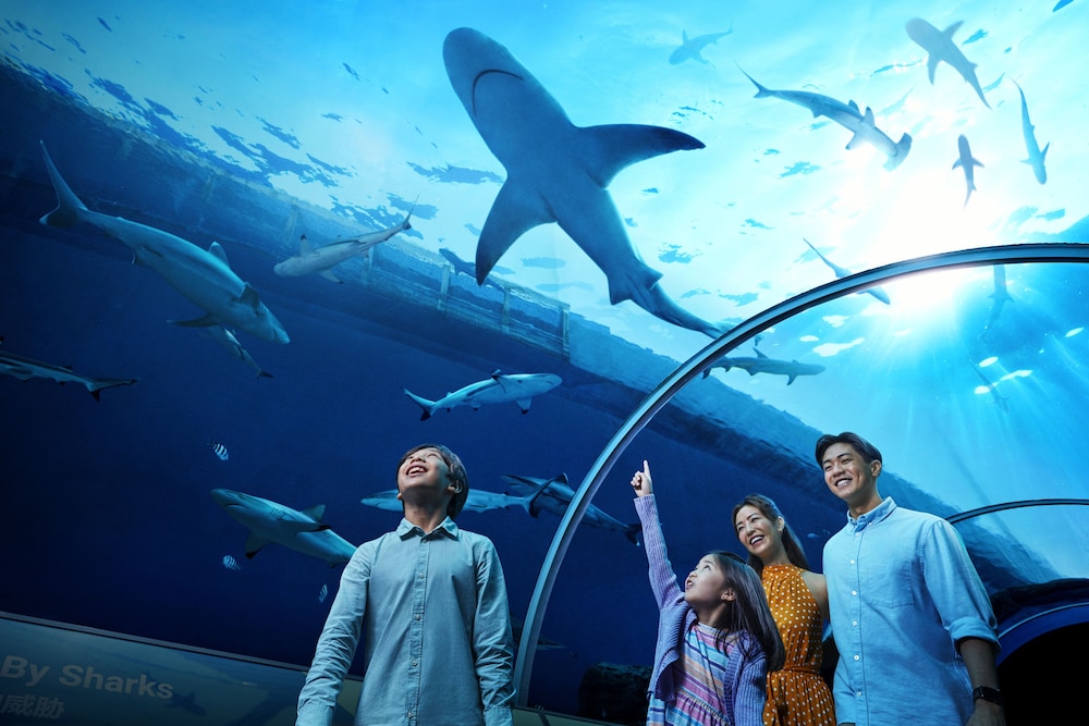 Resorts World Sentosa - Hotel Michael
