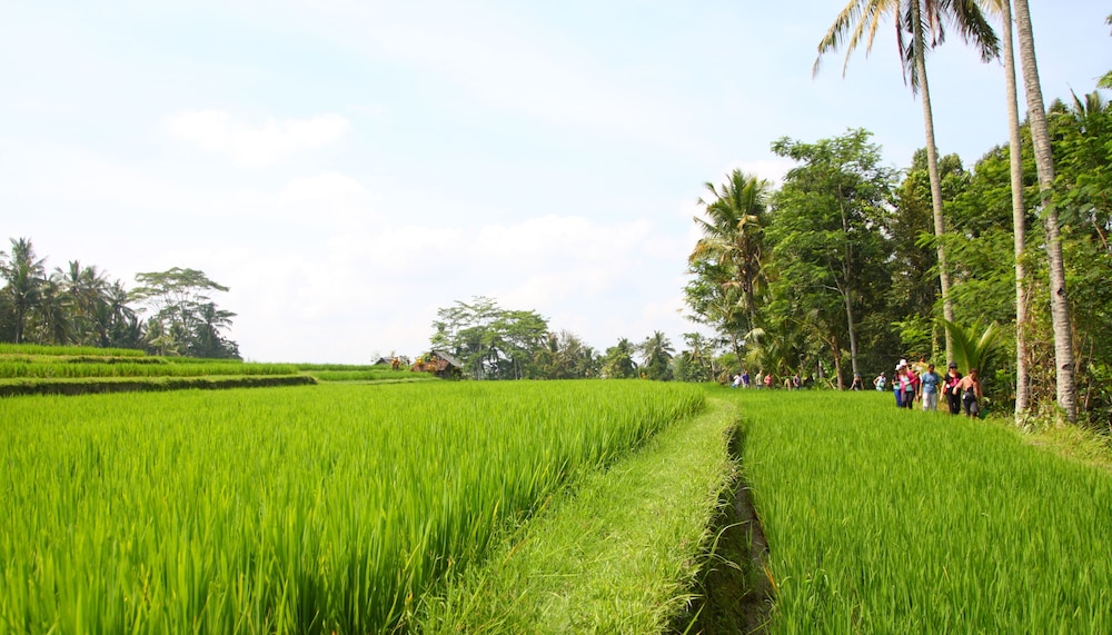 BeingSattvaa Luxury Ubud by Puri Signatures