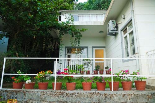 Copperhill - Luxury Homestay