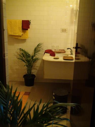 The Village Resort, Mysore