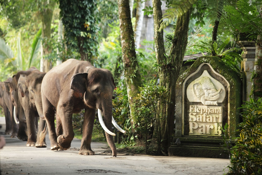 Elephant Safari Park Lodge