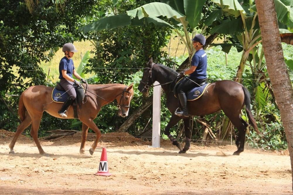 IQuest Colombo