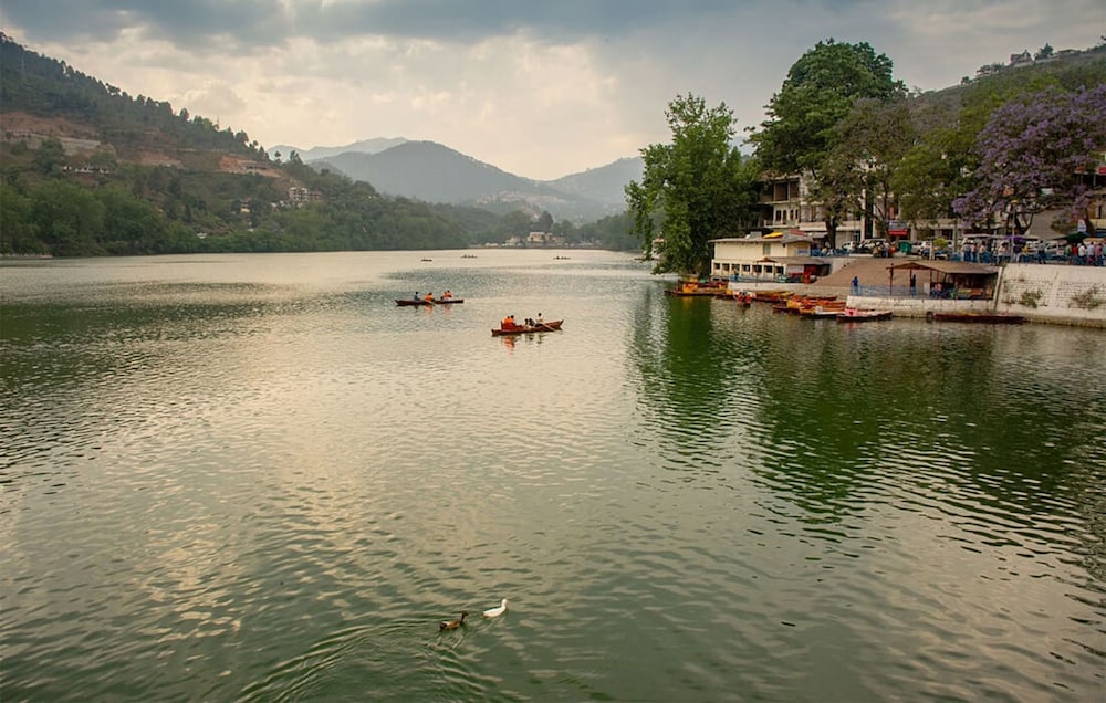 Dynasty Resort