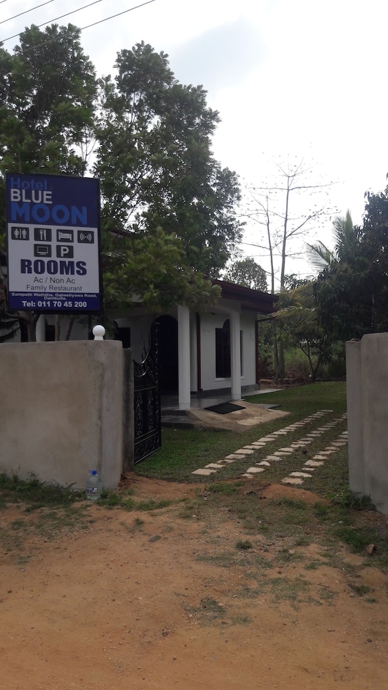 Hotel Blue Moon