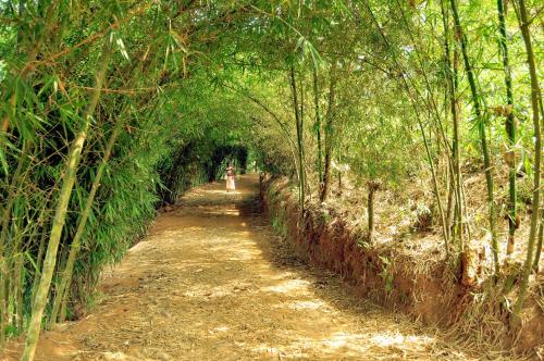 Wayanad Village Resort