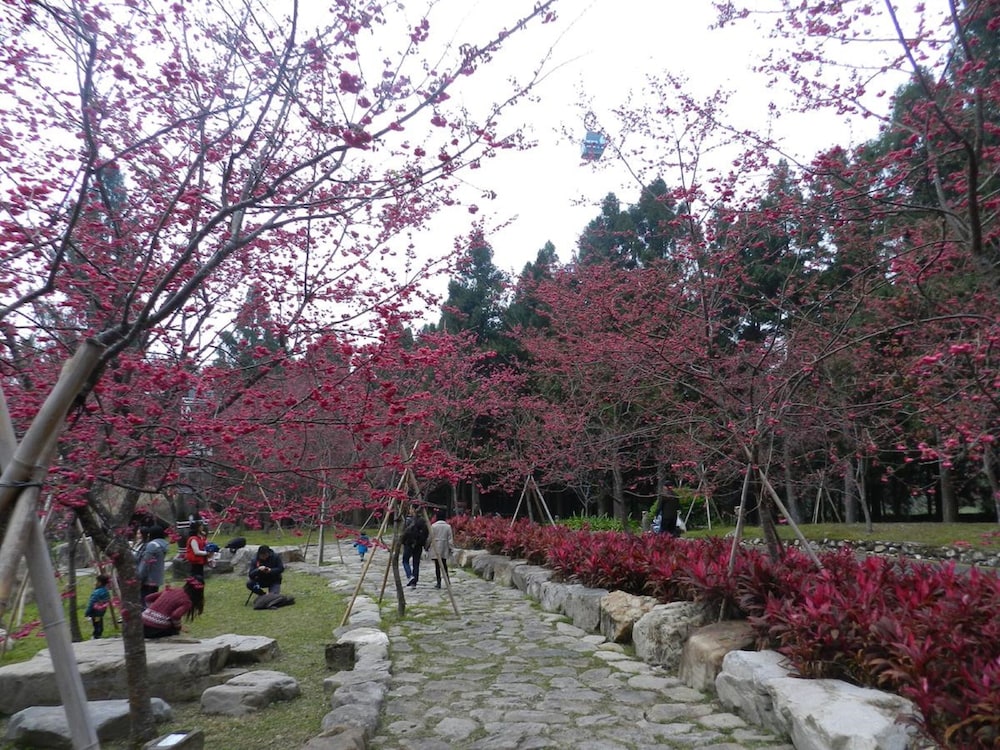 Sun Moon Lake Youngquan Hotels
