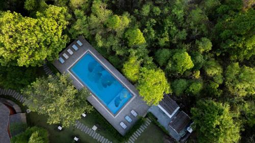 Saj in the Forest Resort in Pench National Park