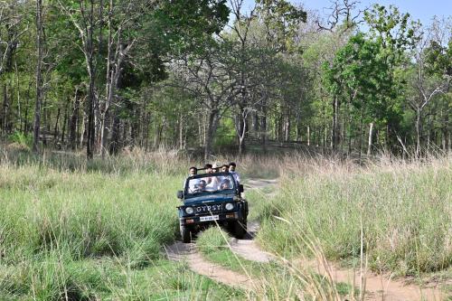 Saj in the Forest Resort in Pench National Park