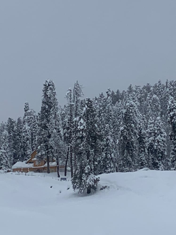 Gulmarg Ski Hill Resort