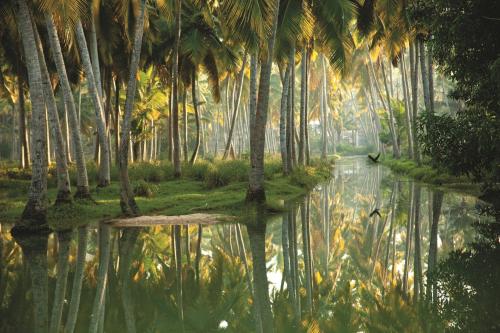 Isola Di Cocco Ayurvedic Beach Resort