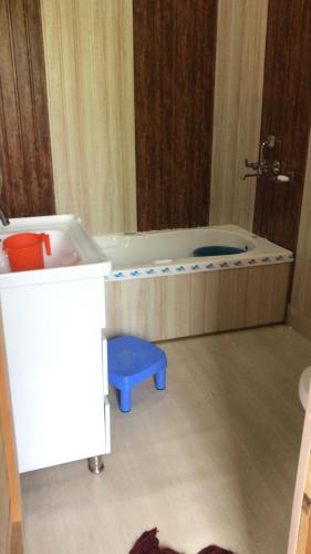 Humayun Palace Houseboat