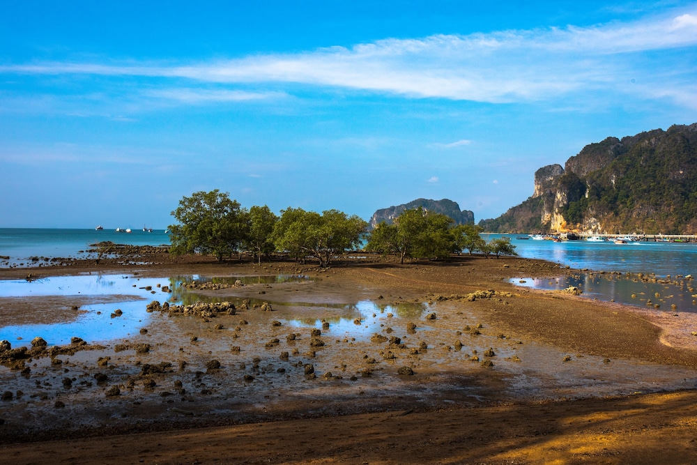 Villa Cha-Cha Krabi Beachfront Resort