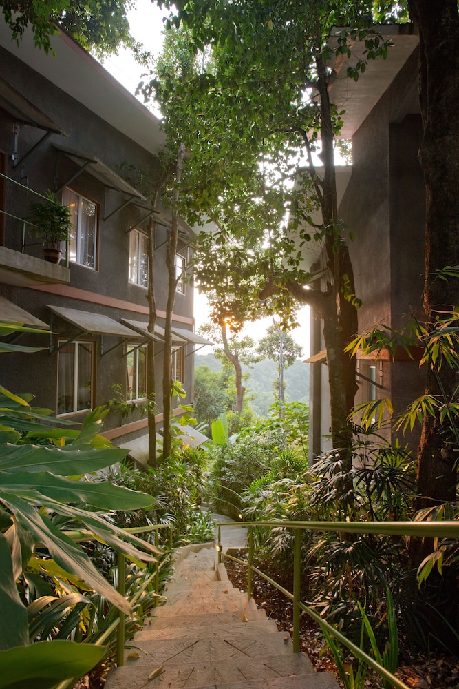 Ambong Rainforest Retreat