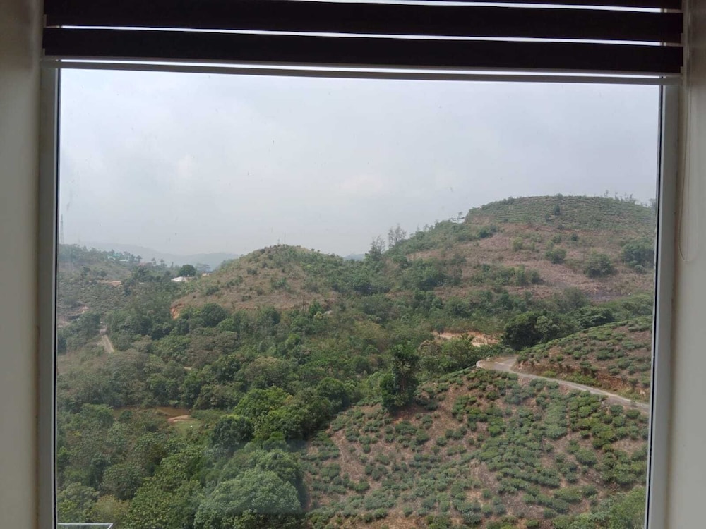 Foggy Knolls Resort