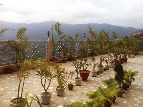 Hotel Greendale Residence  (5 Min walking from MG MARG)