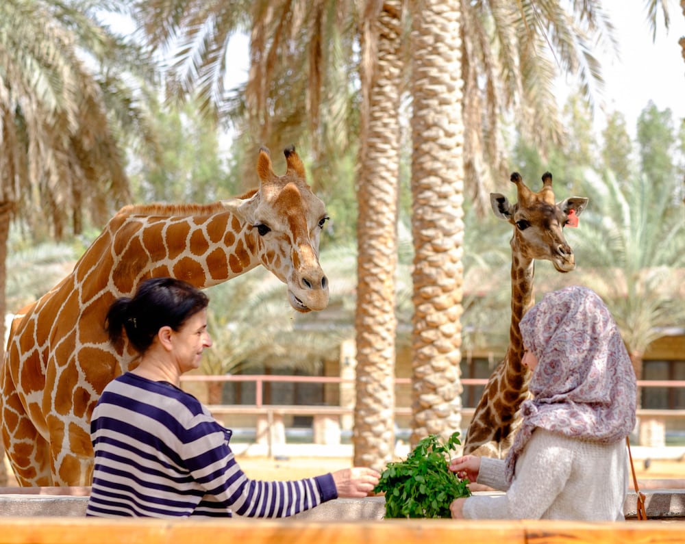 Emirates Park Resort