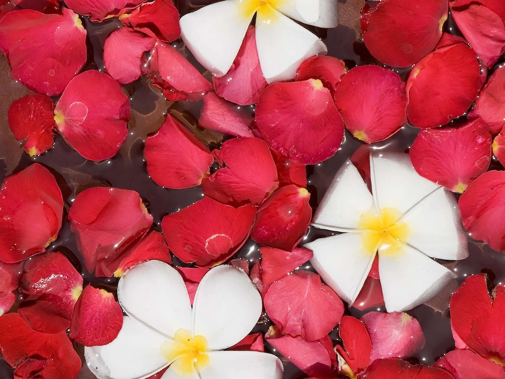 Novotel Bali Nusa Dua - Hotel & Residences