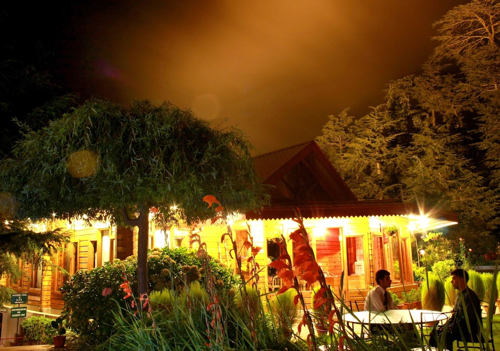 Chalets Naldehra — property photograph 4