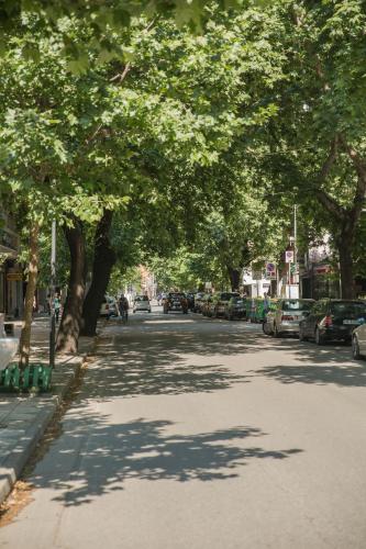 Artistic Tirana