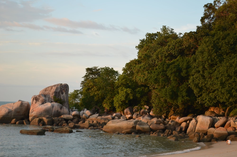 Shangri-La Rasa Sayang, Penang