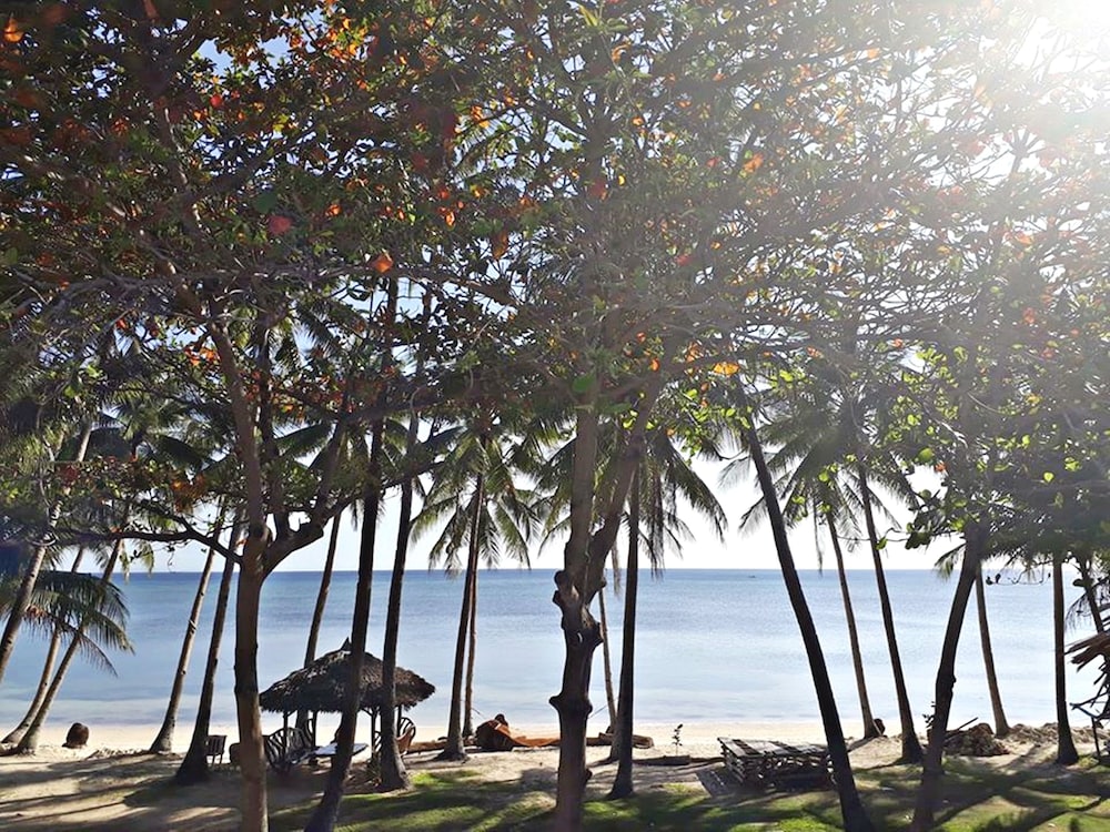 The Bruce Resort