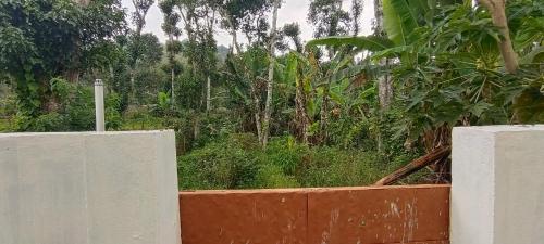 SM GARDENS Luxury Homestay