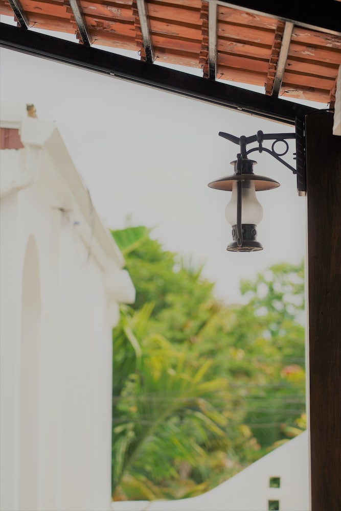 Canary Guesthouse
