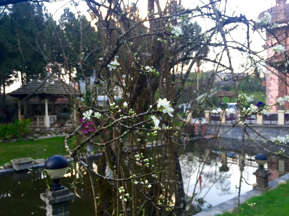 Sapa Garden Bed and Breakfast