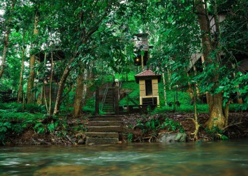 Jungle Beats Resorts