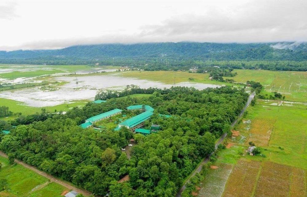 Borgos-The wild haven, Kaziranga