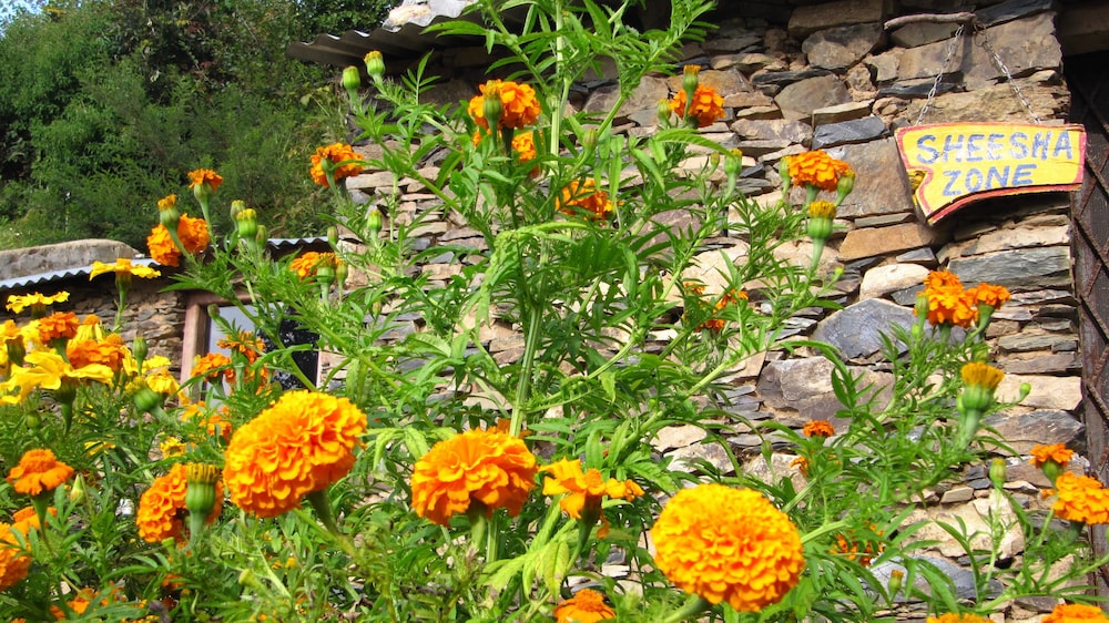 Whispering Pines Himalayan Retreat