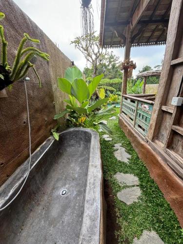 Umah Capung Sebatu Villas
