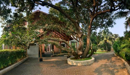 ama Stays & Trails The Mango House, Alibag